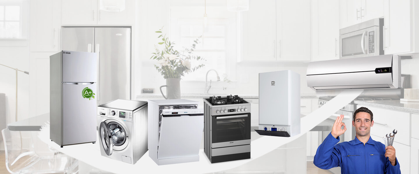 Üzümlü Electrolux Servisi